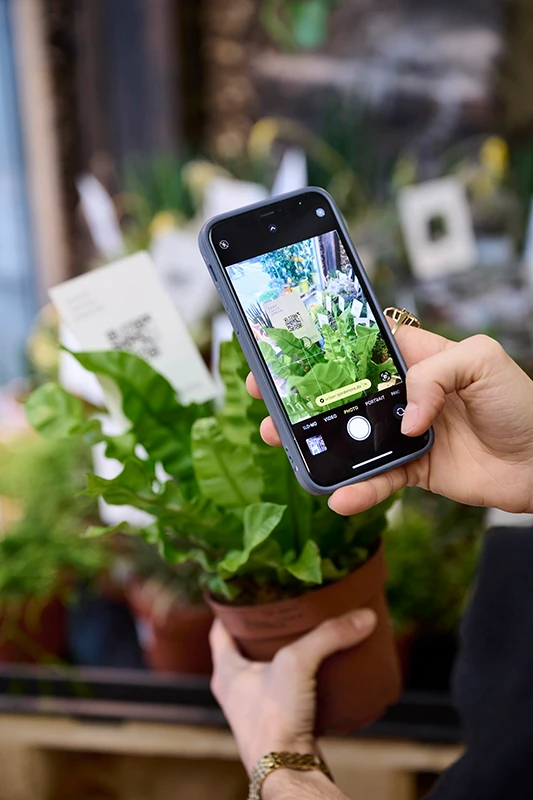 Mit dem Smartphone wird ein Foto einer Pflanze von Urban Gardeners aufgenommen