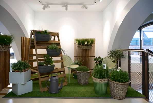 Bild von arrangierten Pflanzen und Pflanzkübeln von Urban Gardeners